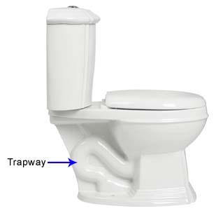 Siphonic Toilet Trapway