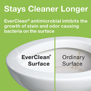 EverClean Surface