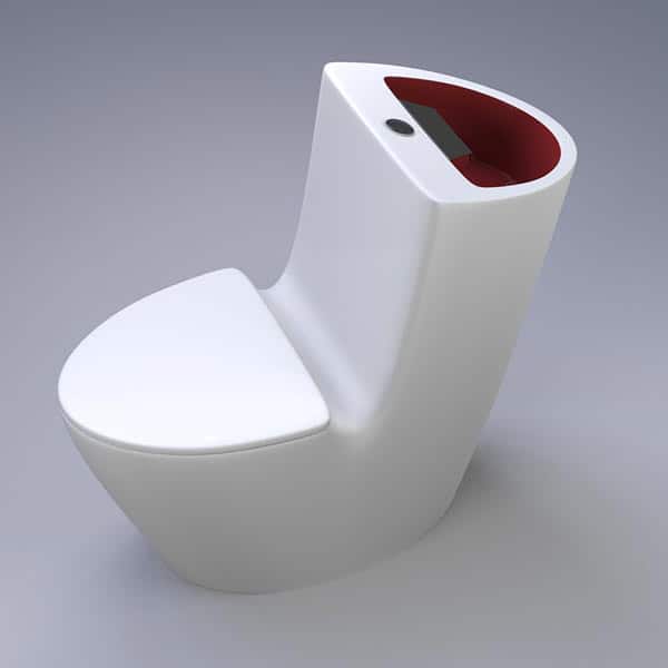 Unconventional Toilets