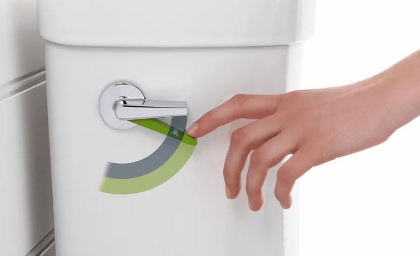 Unique Dual Flush Lever